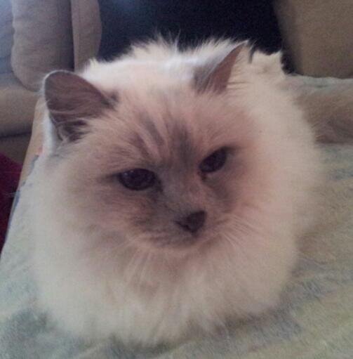 rnbmc1's profile picture. 