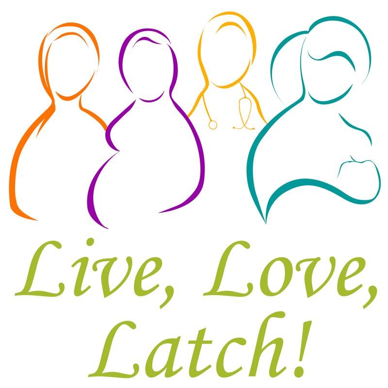 A National Breastfeeding Month celebration presented by La Leche League USA. This event highlights the support systems for breastfeeding dyads.