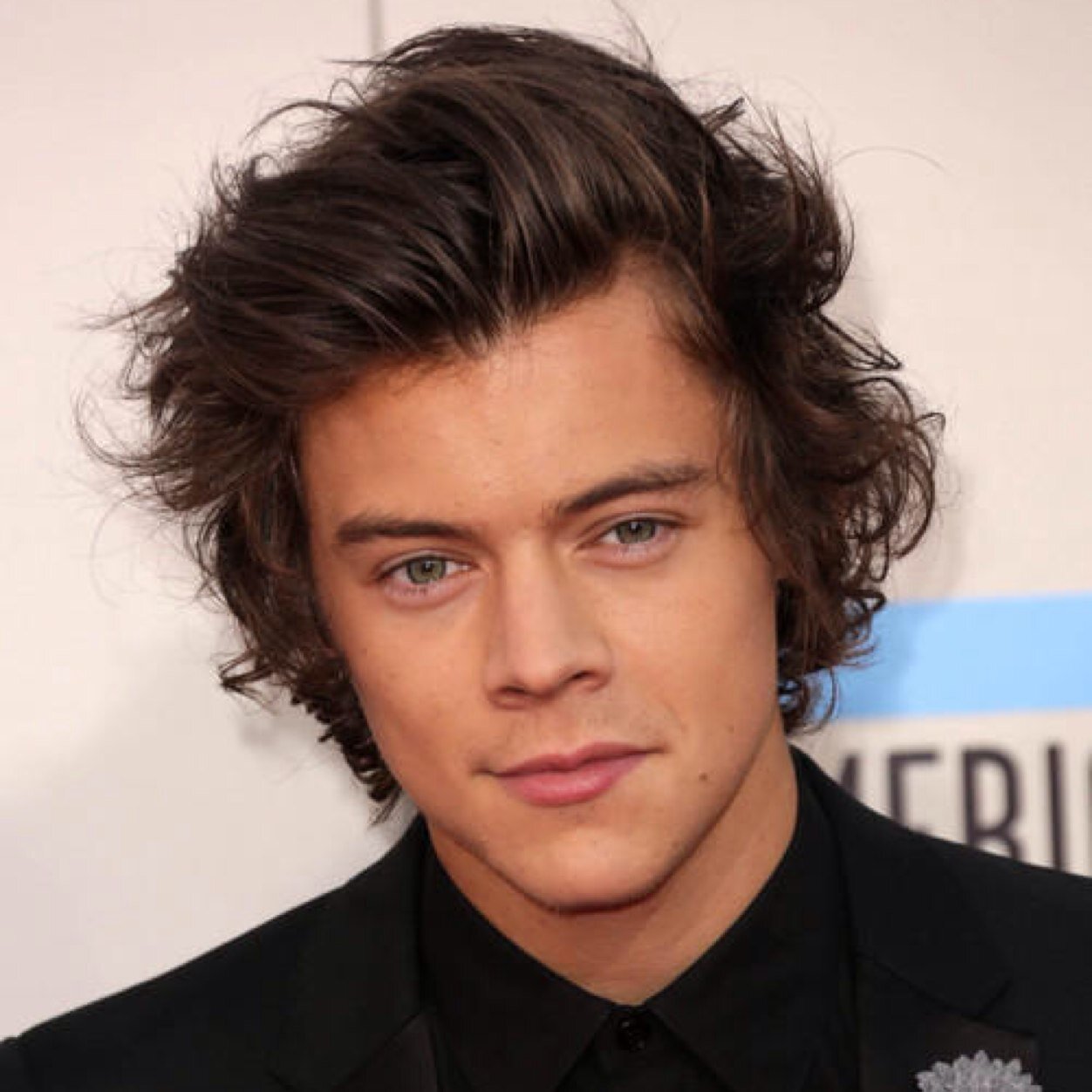 I am the real Harry Styles
