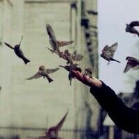 الغامديه (@e7be16f96c584ba) 's Twitter Profile