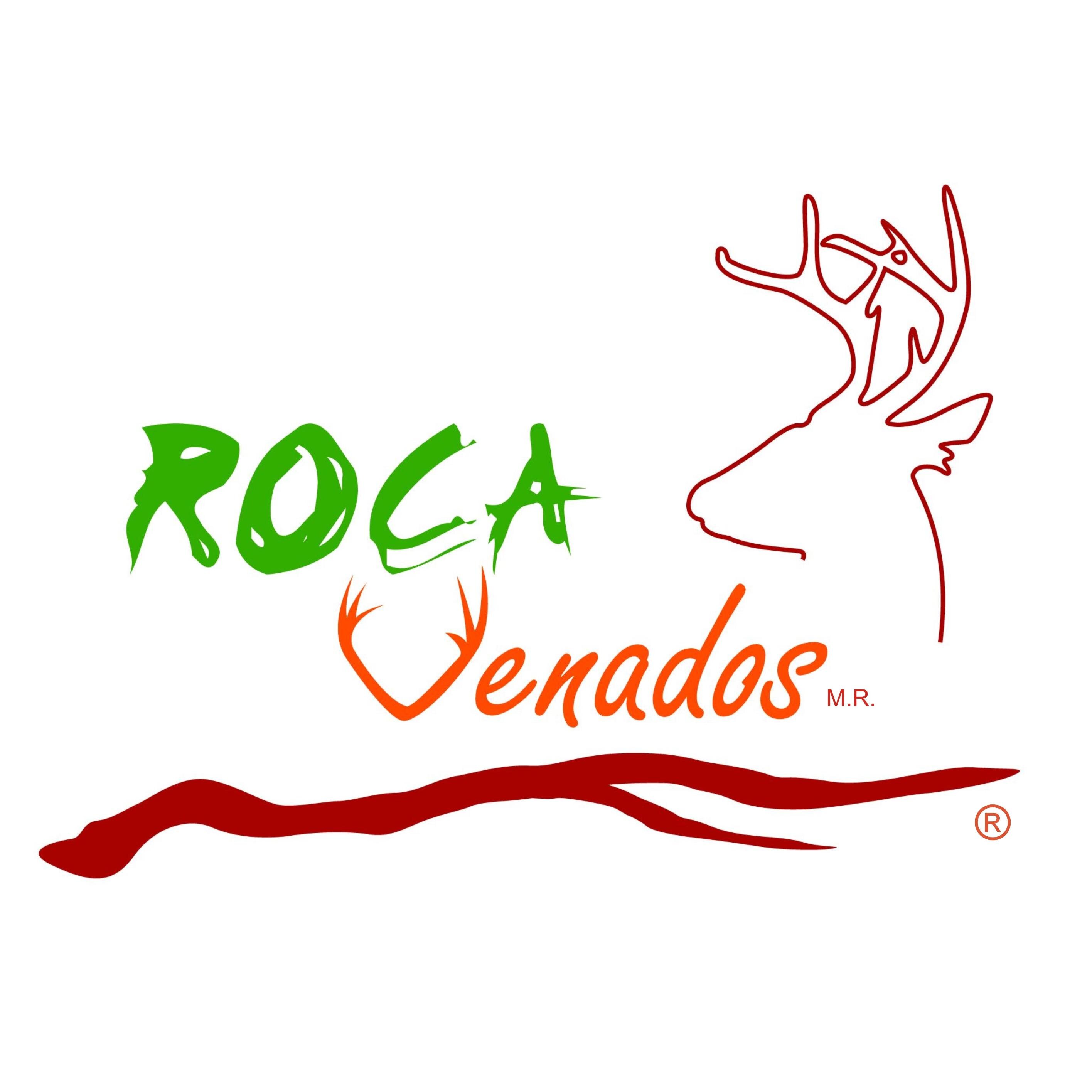 Desarrollo Ecoturístico. Convive con la naturaleza, relájate y diviértete. Renta de Cabañas, senderismo interpretativo, rappel, escalada, mirador.