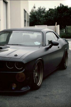 For the muscle car enthusiasts. Dm your muscle car to me for a chance of getting posted on here! ( I have no rights to the photos on this page)