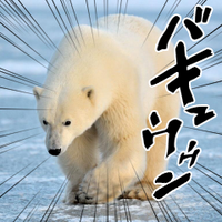 へんくま (@henmikumajiroui) Twitter profile photo