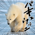 へんくま (@henmikumajiroui) Twitter profile photo へんくま (@henmikumajiroui) Twitter profile photo