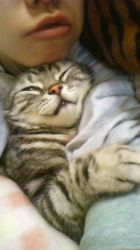 foooooming's profile picture. 