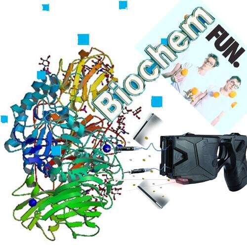 lactasered's profile picture. Biochem FUN.