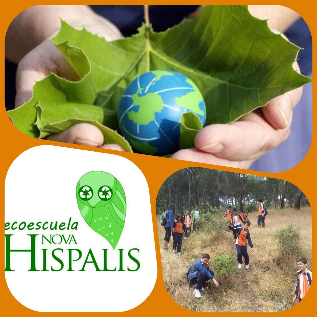 La EcoEscuela Nova Hispalis educa e implica a sus alumn@s  en el cuidado del medio ambiente. Reducir, Reutilizar y Reciclar es divertido y económico.