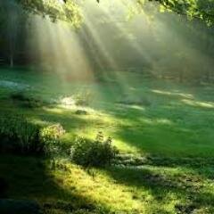 oliviasmith82's profile picture. In order to carry a positive action we must develop here a positive vision.