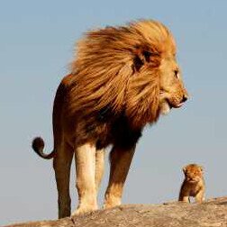 johan_zoet's profile picture. 