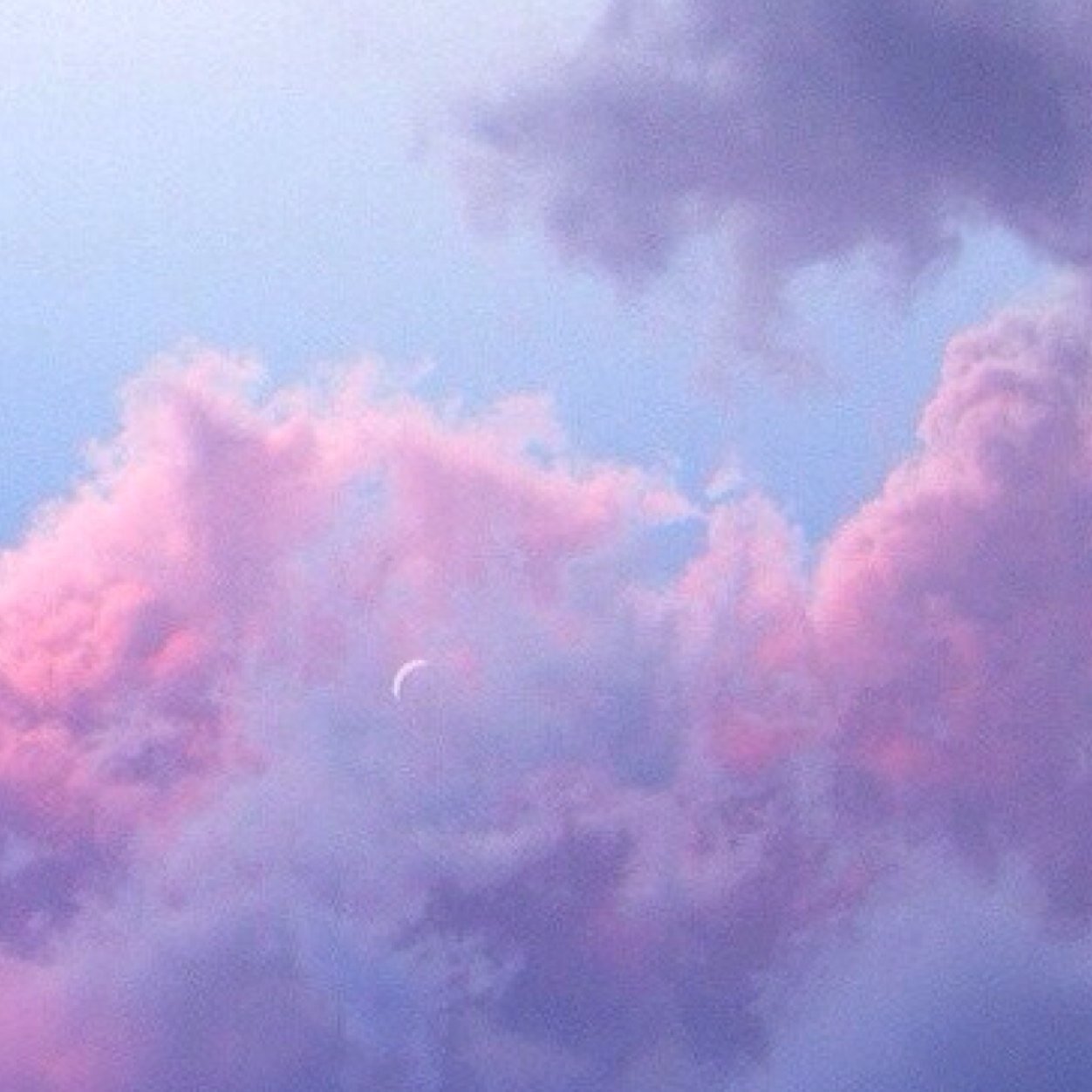 dxstinyhope_'s profile picture. follow @myley__ or get unfollowed sorry i dont make the rules ily