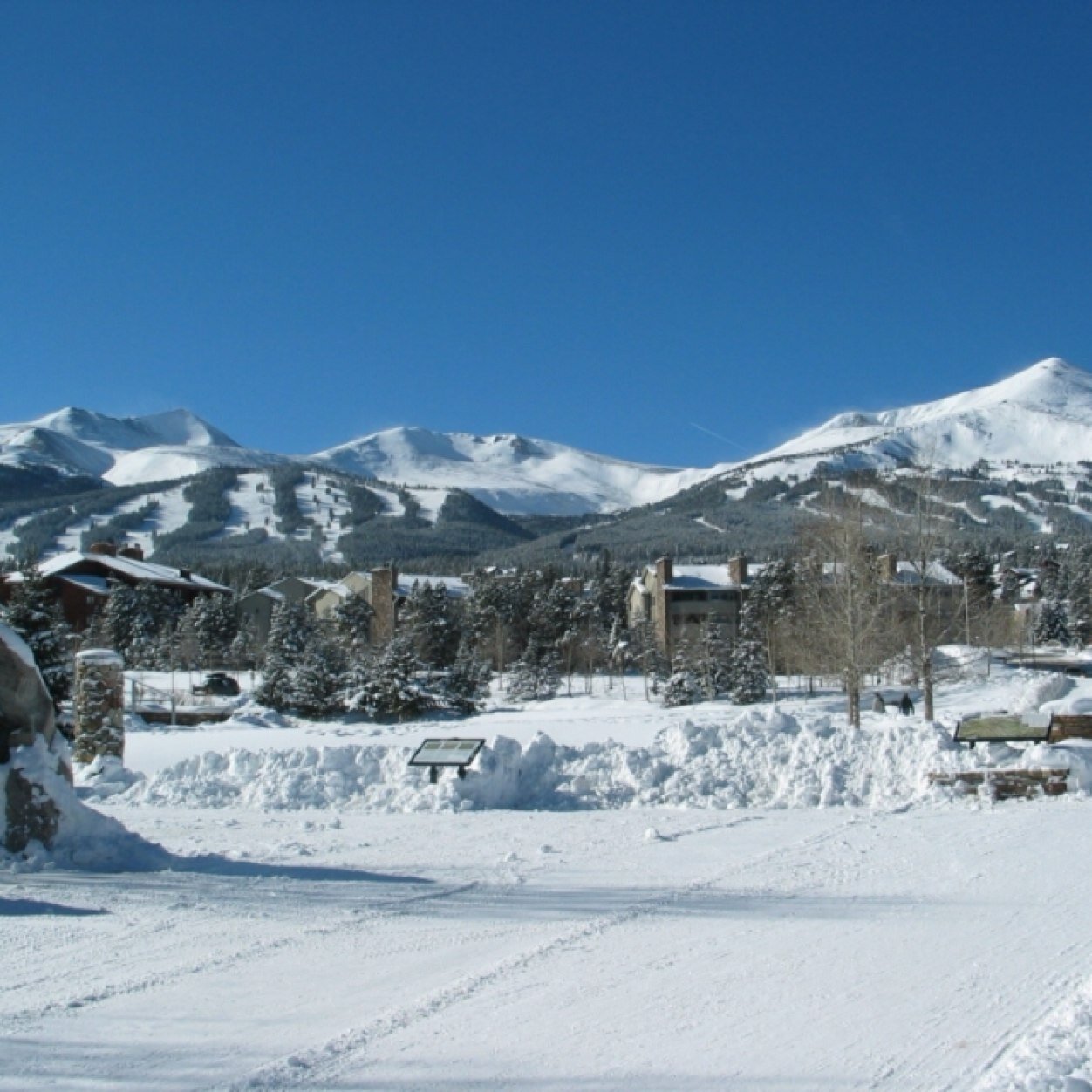 snowcailin's profile picture. 