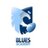 BluesAcademy's profile image