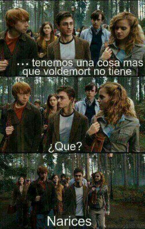 hedwighhp's profile picture. Bienvenidos al colegio Hogwarts de magia y hechicería. Todo lo que queráis saber sobre nuestro mundo, lo encontraréis aquí. 
No apto para muggles.