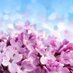 روضة آل ثاني (@raqtr) Twitter profile photo روضة آل ثاني (@raqtr) Twitter profile photo