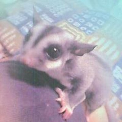 カノン
