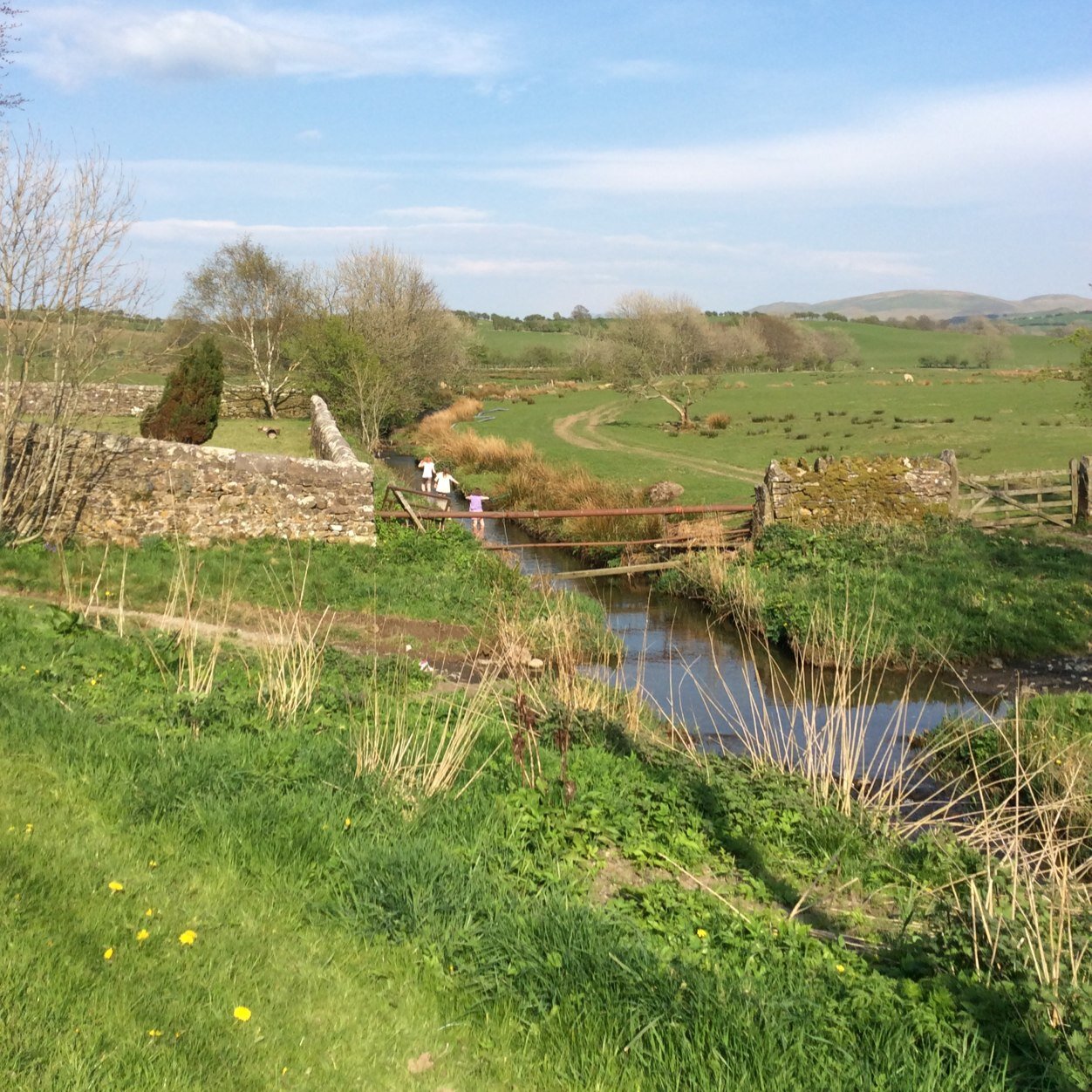 ullockview's profile picture. FM at st bees school in cumbria