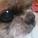宇都宮 廣子 (@0801_gil) Twitter