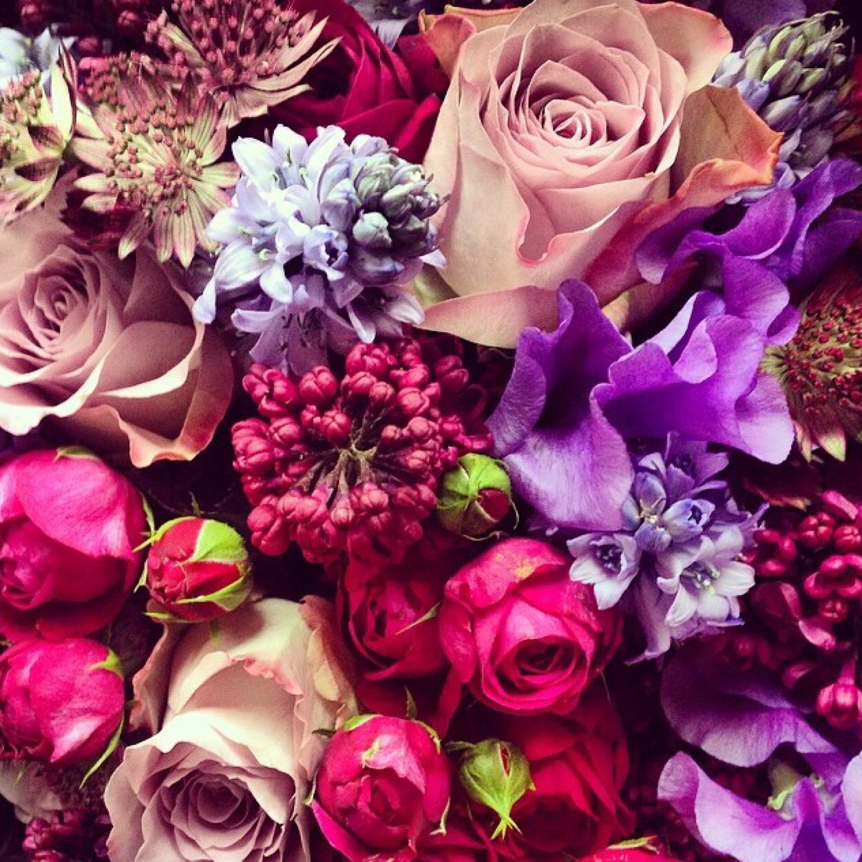 bling_Brie's profile picture. 방송작가