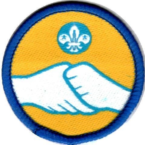 Group Scout Leader for our Explorer Group for disabled youth aged 9-25: at Charlton Academy. I am the special needs adviser / Inclusion for Greater London South