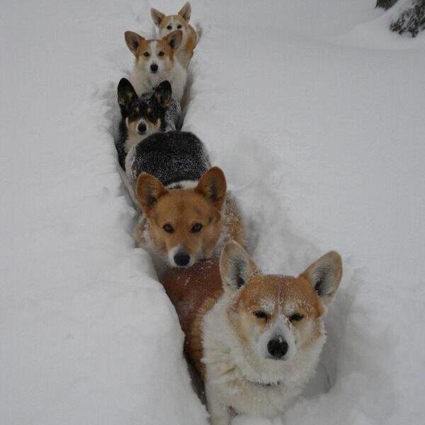 sa_pasin's profile picture. 