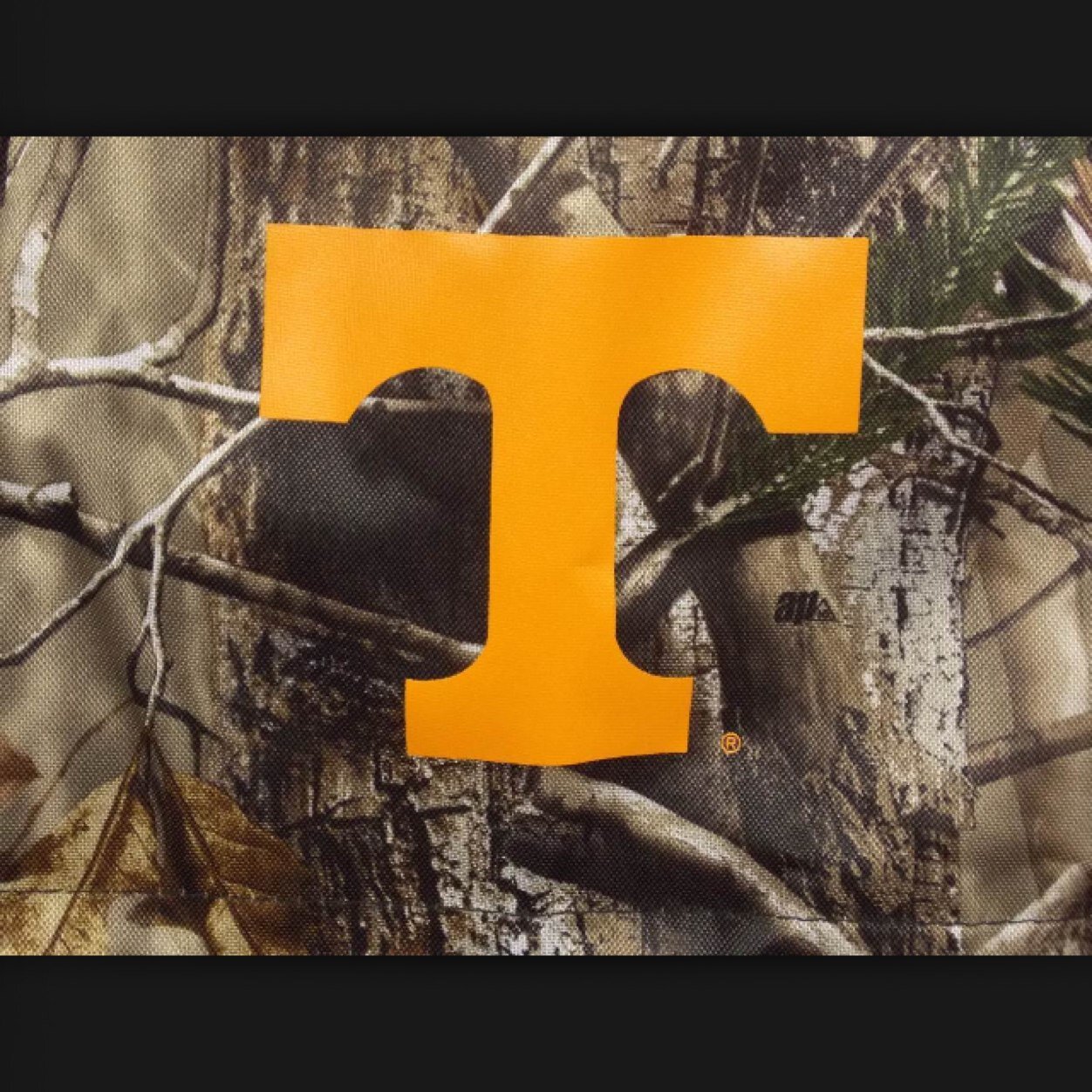 Vols_GBO's profile picture. 
