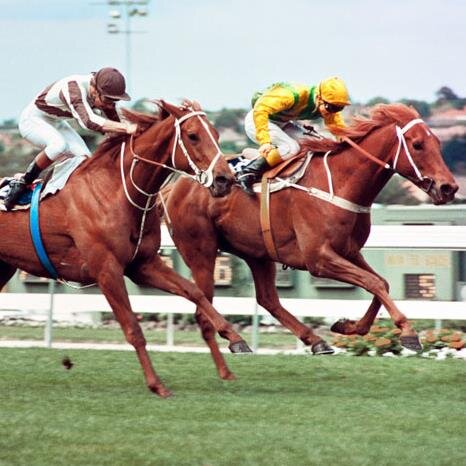 battler doing his best on the punt/sometimes succeeding/sometimes failing #keepthebastardshonest