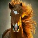 Hanna Aldabah (@05b6cfb9b6dc42e) Twitter
