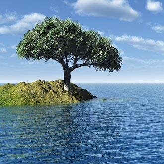 EconologieM's profile picture. L'actualité du site Econologie-maison.fr : tout pour les économies d'énergie, bonne tant pour porte-feuille que pour la planète !