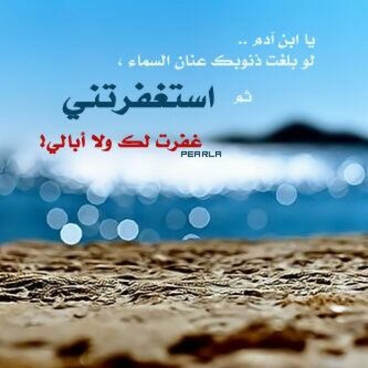 alreef5511 Profile Picture