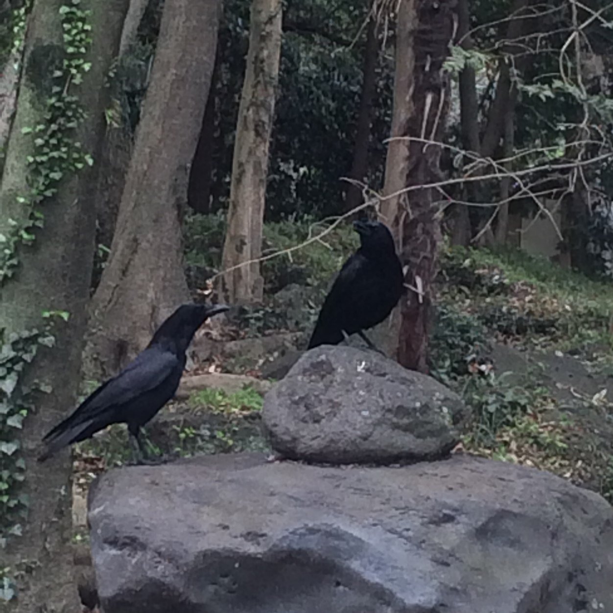 blueskyskyboy's profile picture. 