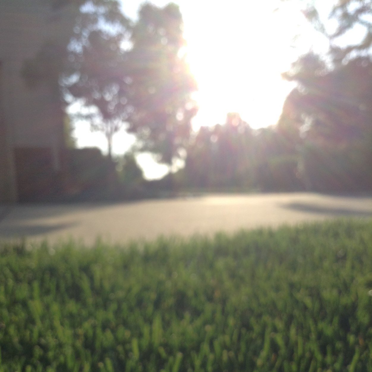 natekoenig8's profile picture. Im going to tell a fact, and you reply with True or False. Only reply one time on each tweet(you get one guess). If your right, you get a shoutout.