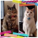 ROY＆MAY - @roy111may111 - Twitter