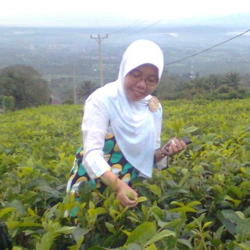 Math Teacher at Pusri Junior High School