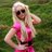 svetlana_kuklev's profile image
