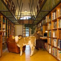 Infolio Editions (@infolioeditions) 's Twitter Profile