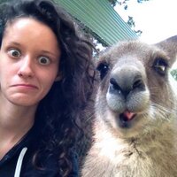 Casey (@glaack) 's Twitter Profile