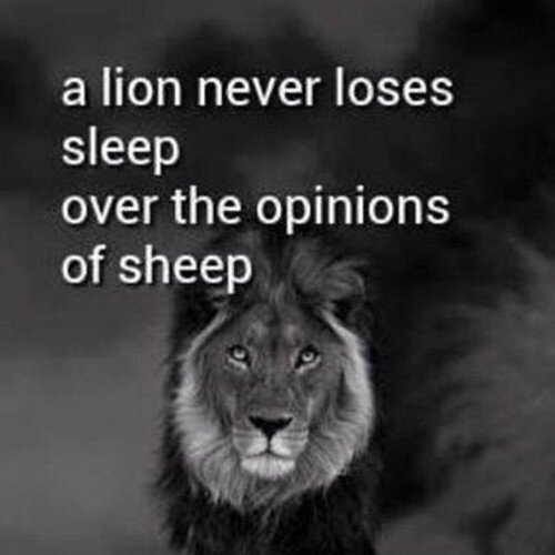 PrimalCombat's profile picture. PRIMAL COMBAT!! All sports and 100% Primal. Primal Combat Zone is part of the MMA Subway...