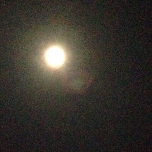 aki_minagawa's profile picture. いろいろとぼやいております(^^)

申し訳ありませんが当方日本語しかわかりませんのでフォローを返させていただくのは日本の方のみにさせていただきます