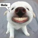 Fanny B. - @fanny_blanco - Twitter