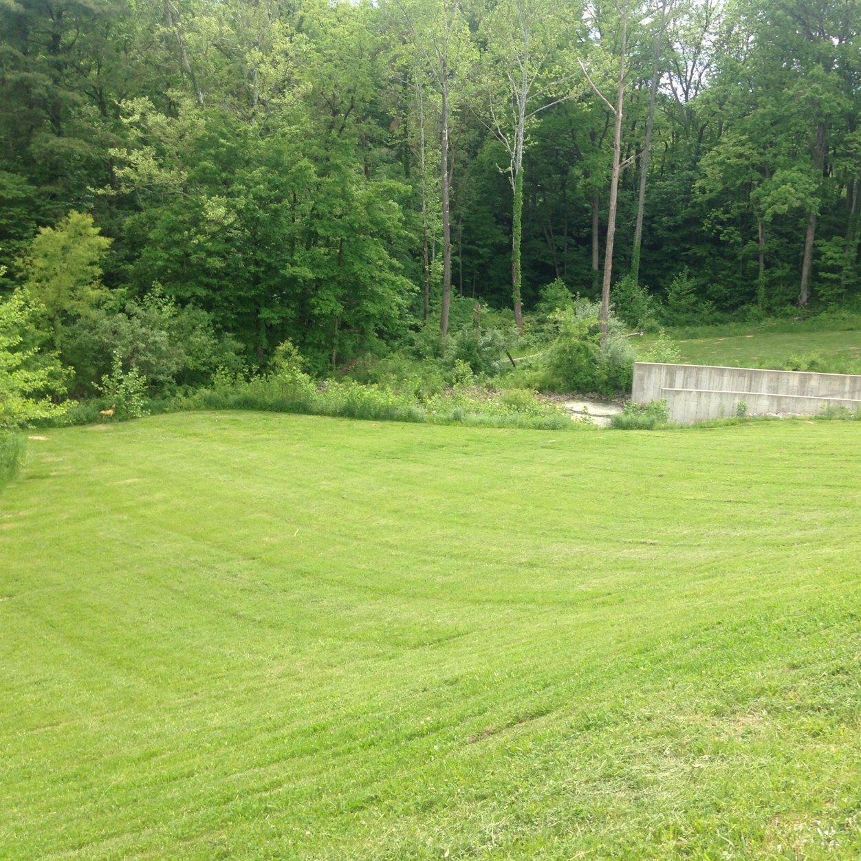 livingstonlawncare@yahoo.com