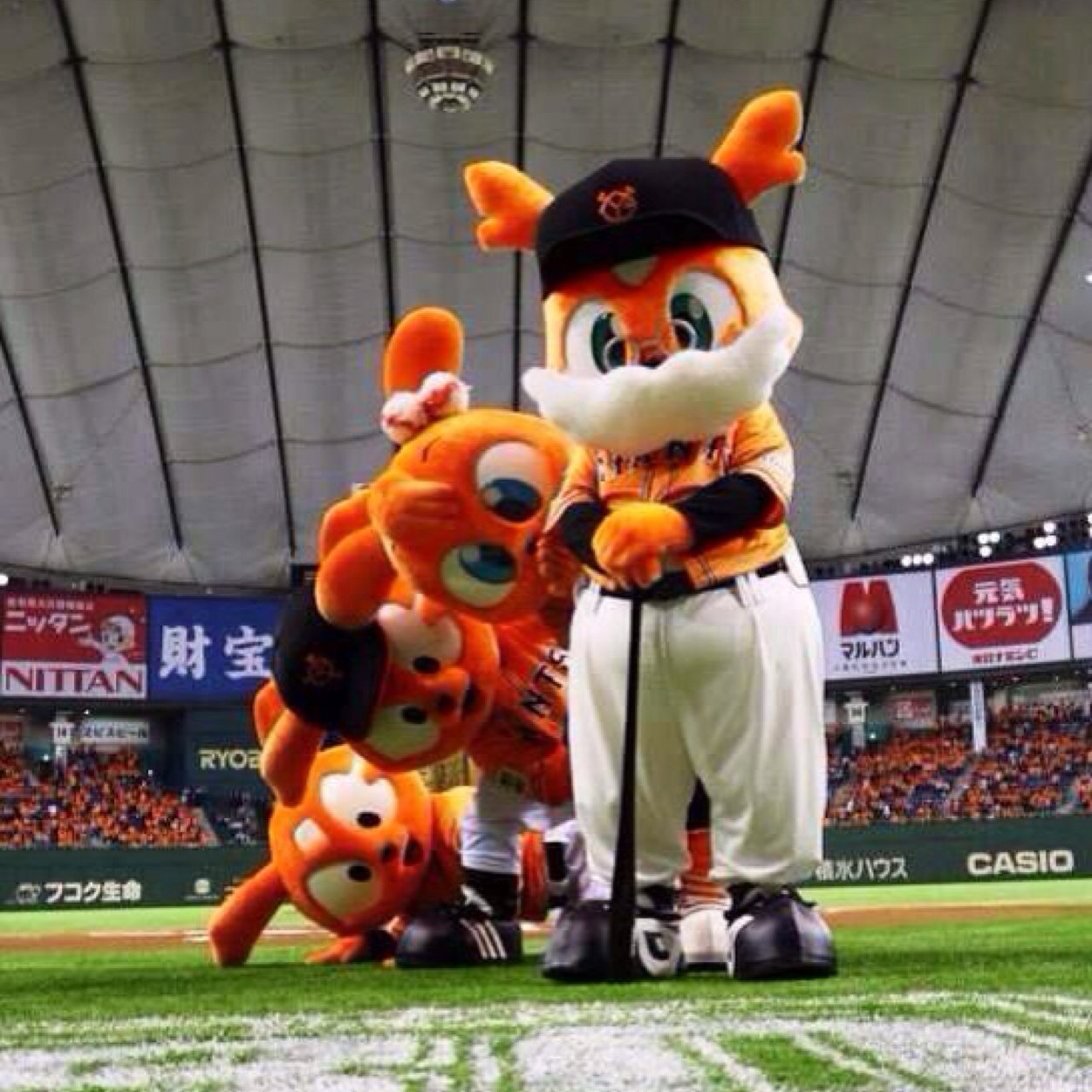 どうも、梨奈です(｡-_-｡) G党でぇす！
ジャイアンツ大好きな 高校1年生でぇす！
よろしくお願いします