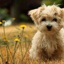 Angel Alejo  - @319ful - Twitter