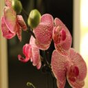 Abel Rivers - @riversnzl - Twitter