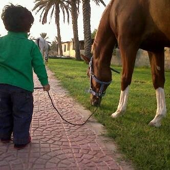 الحمدلله ♥