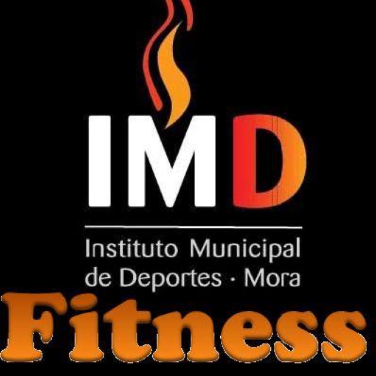 Temporada 2013-2014 FITNESS MONITOR: Pedro Luis Garcia