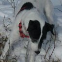 Jackie McGowan    - @StGowan - Twitter