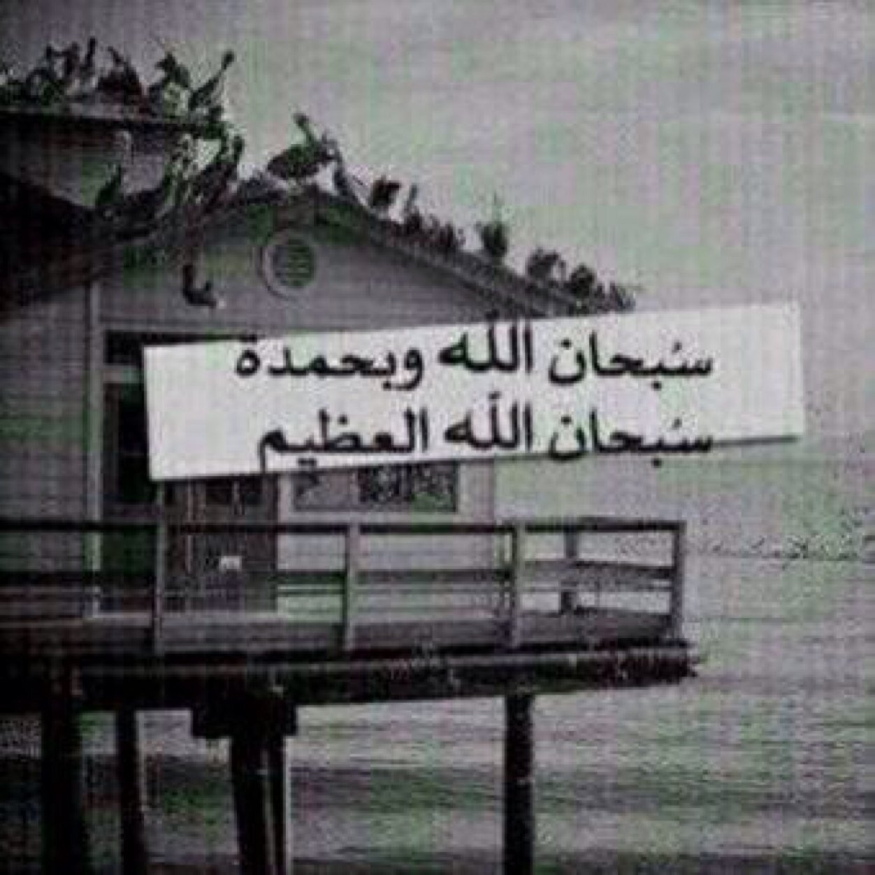 Sdydfuyuy's profile picture. 