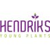 Hendriks YoungPlants (@hendriksyp) Twitter profile photo