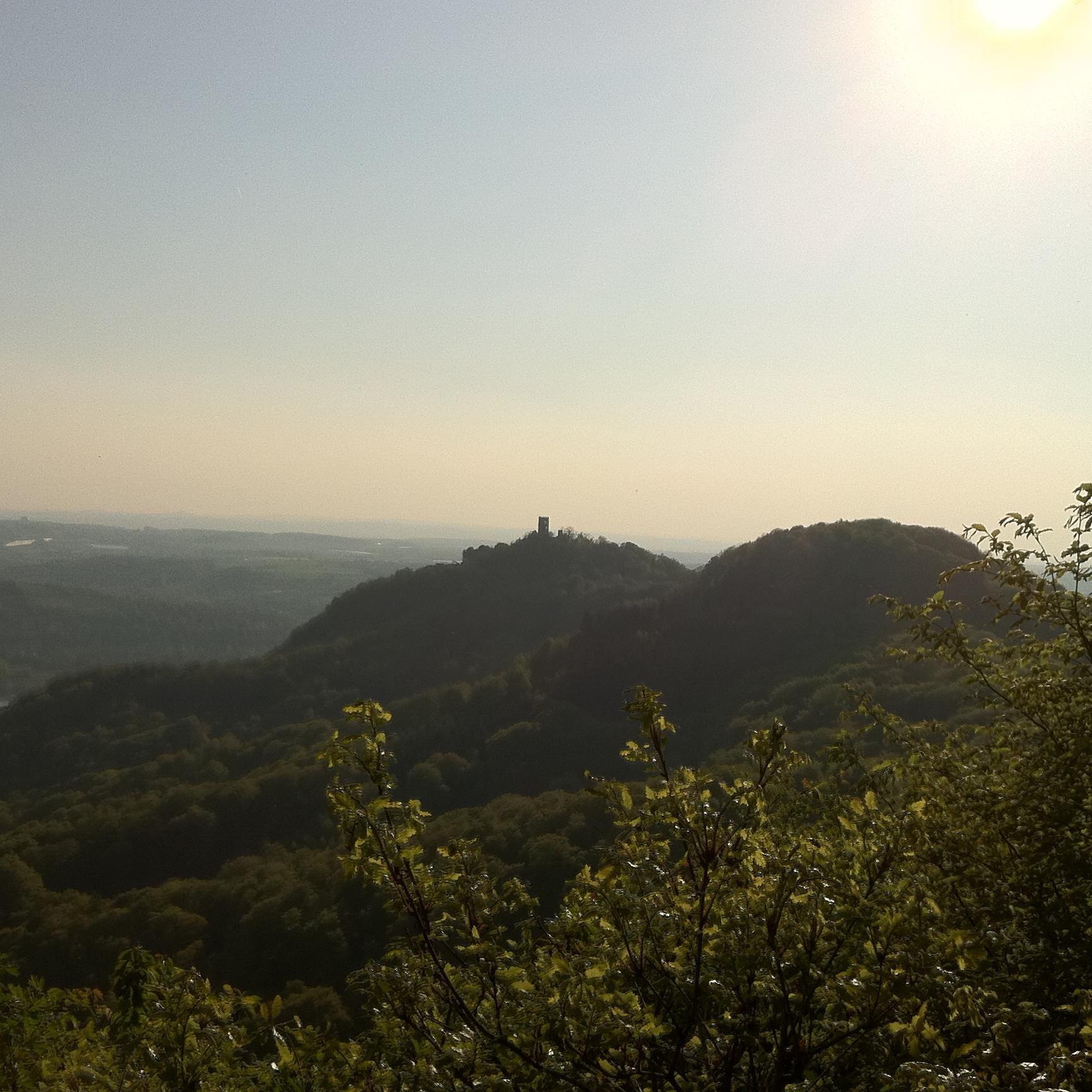 StefanNBecker's profile picture. 