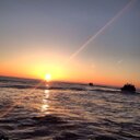 Tara Brophy - @tarabrophy16 - Twitter